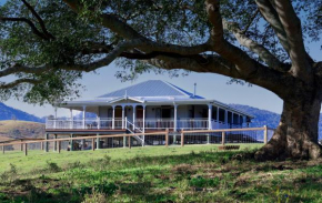Cookes Road Cottage at Conondale, Conondale